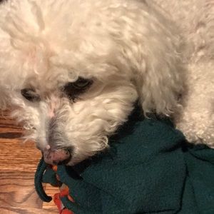 Meet your Posher, Maryjane